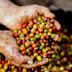 Café-mineiro-em-Dubai