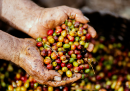 Café-mineiro-em-Dubai