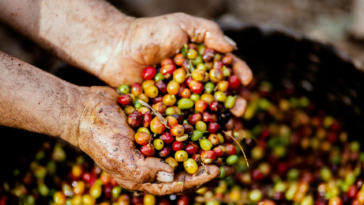 Café-mineiro-em-Dubai