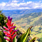 Turismo no Sul de Minas