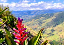 Turismo no Sul de Minas