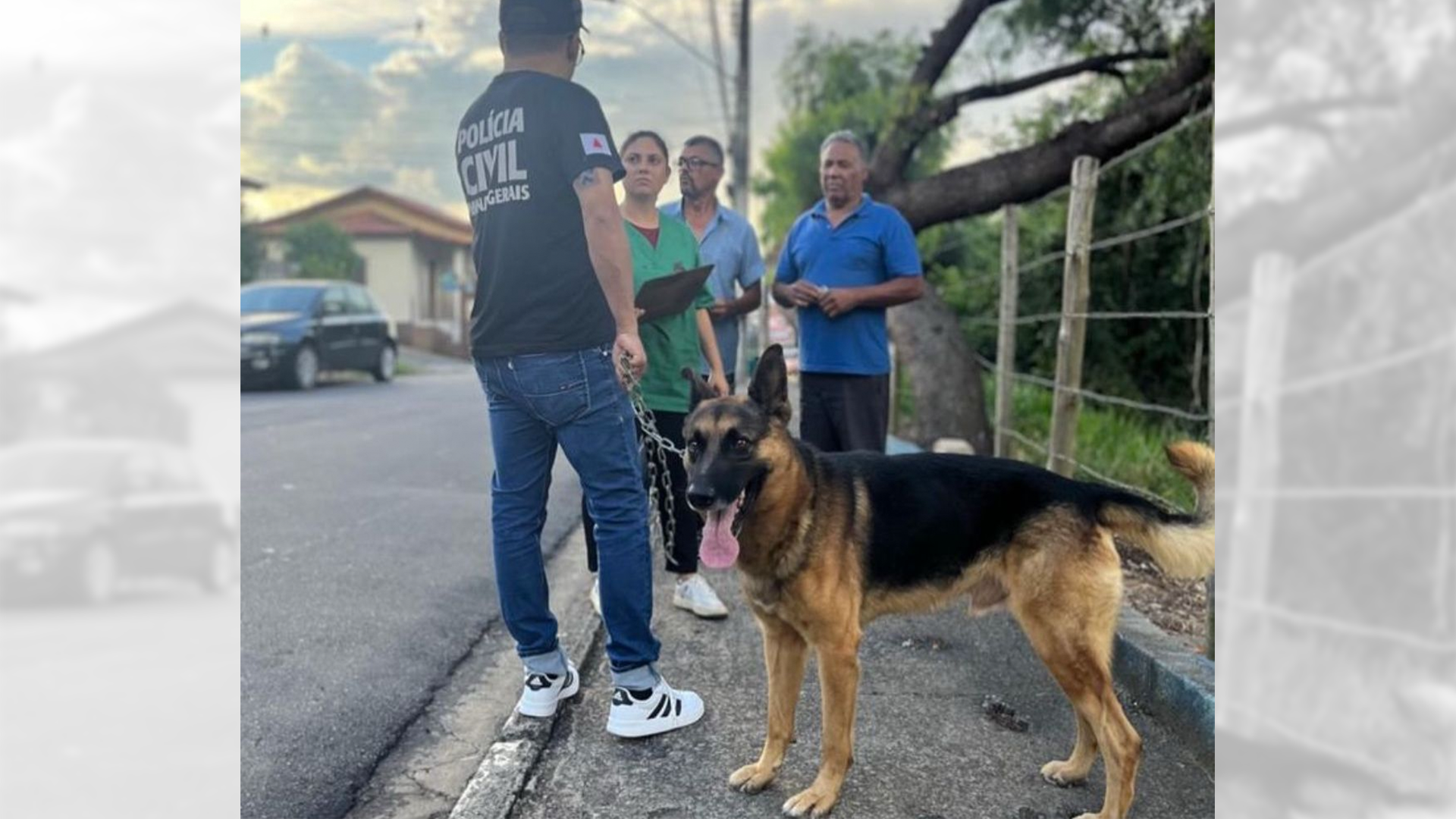 Cachorro resgatado em Extrema, MG, após anos acorrentado, ganha cuidados no canil municipal.