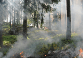 Prevenção a Incêndios