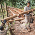 Turismo Sustentável Extrema