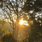 Divulgação dos cursos de turismo do Programa Rotas do Conhecimento em Minas Gerais