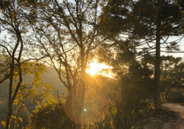 Divulgação dos cursos de turismo do Programa Rotas do Conhecimento em Minas Gerais