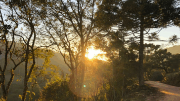 Divulgação dos cursos de turismo do Programa Rotas do Conhecimento em Minas Gerais