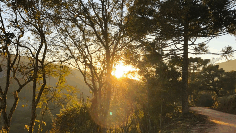 Divulgação dos cursos de turismo do Programa Rotas do Conhecimento em Minas Gerais