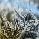 Paisagem coberta por camada branca em Monte Verde e frio intenso em Camanducaia, Sul de Minas.