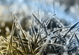 Paisagem coberta por camada branca em Monte Verde e frio intenso em Camanducaia, Sul de Minas.
