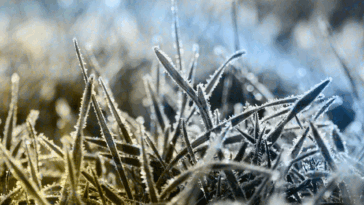 Paisagem coberta por camada branca em Monte Verde e frio intenso em Camanducaia, Sul de Minas.